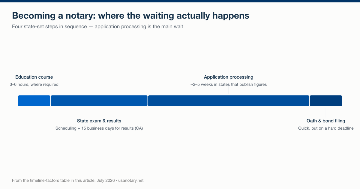 The four sequential steps to become a notary, sized by how long each takes: education course, state exam and results, application processing, and oath and bond filing