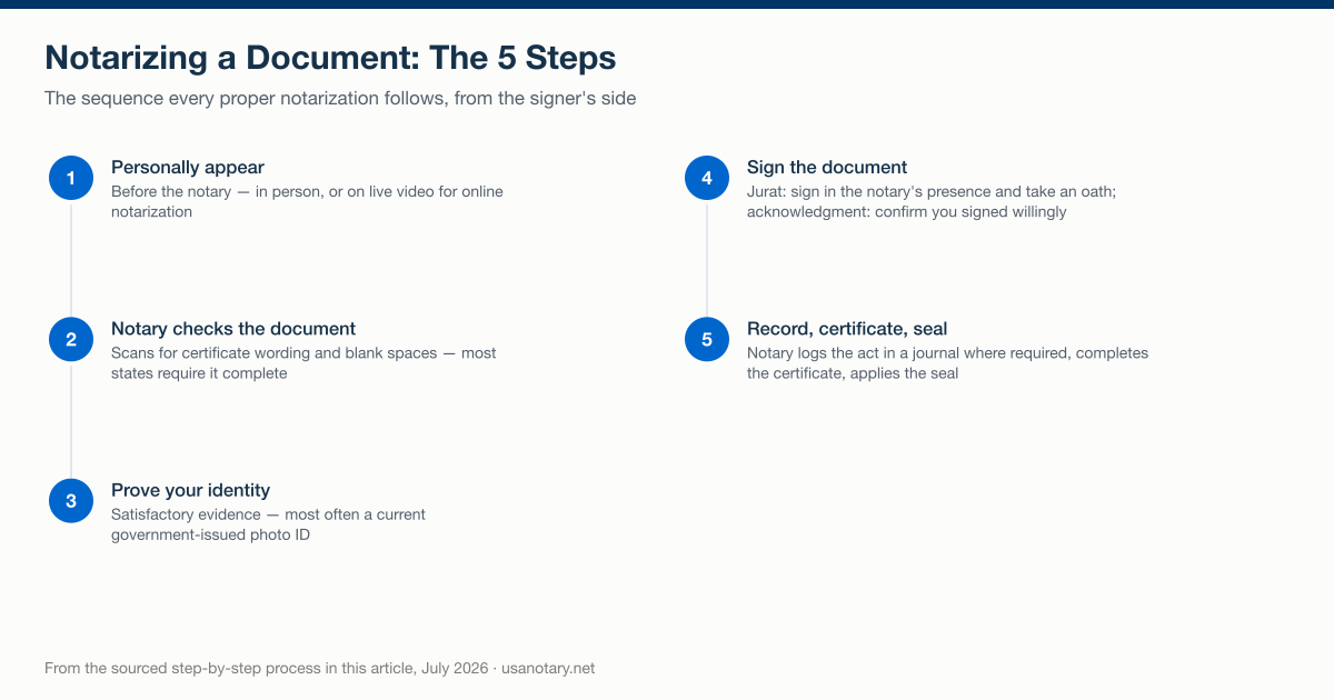 The five steps of notarizing a document, from personal appearance through the notary's seal